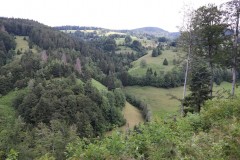 IMG_1394