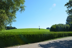 DSC_8015