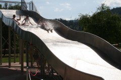 IMG_3554