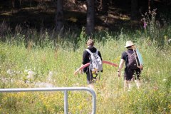2022-07-06_komprimiert-7
