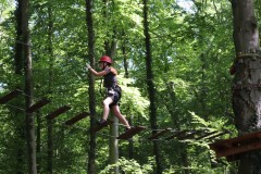 IMG_5582