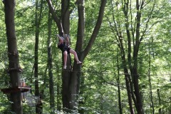 IMG_5588