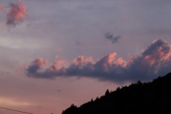 IMG_6663