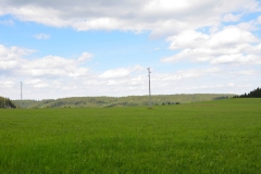 DSC_2661